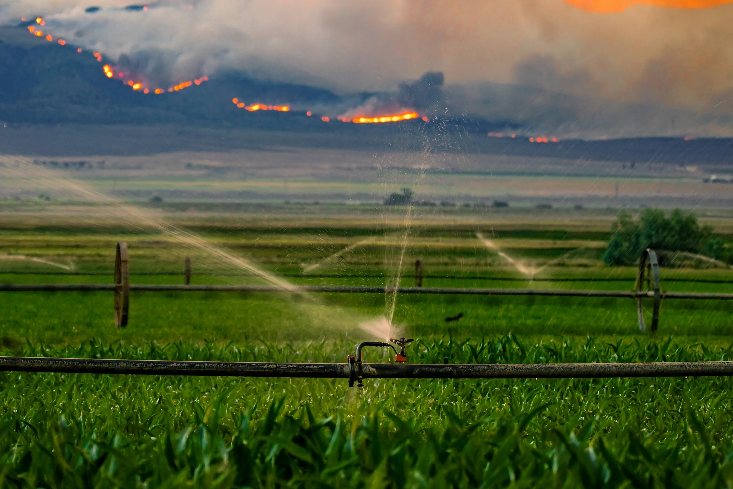 Sprinklers watering a green field while a wildfire burns on the hills behind.