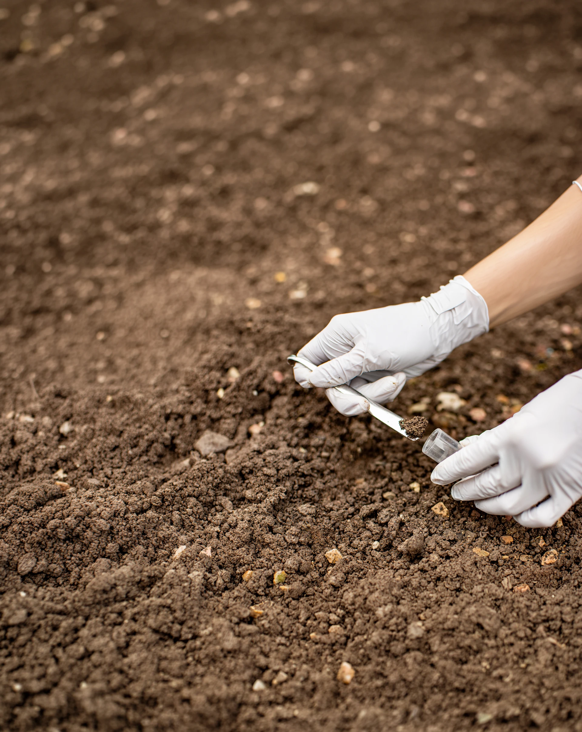 A gloved hand scooping a soil sample into a vial.
